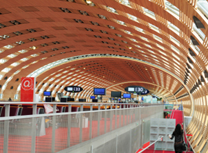 Pairs Charles de Gaulle Airport